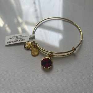 Alex and Ani January Scarlett Birthstone Bracelet